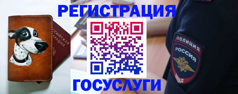 временная регистрация в квартире в Усолье-Сибирском